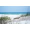 Biggies Scenes Window Well Scenes-Carolina Coast, 80 in wide x 40 in high BG-WW-CCT-80 - alternate 1